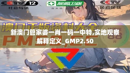 新澳门管家婆一肖一码一中特,实地观察解释定义_GMP2.50