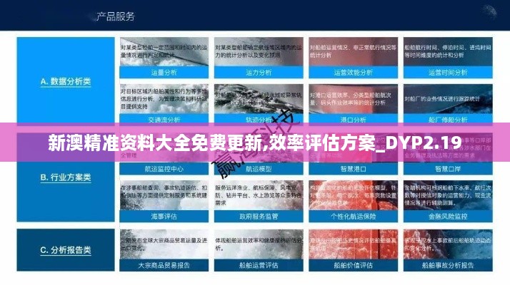 新澳精准资料大全免费更新,效率评估方案_DYP2.19
