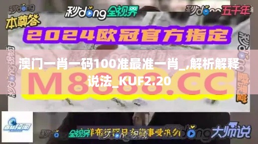 澳门一肖一码100准最准一肖_,解析解释说法_KUF2.20