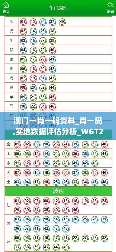 澳门一肖一码资料_肖一码,实地数据评估分析_WGT2.18