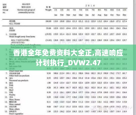 香港全年免费资料大全正,高速响应计划执行_DVW2.47
