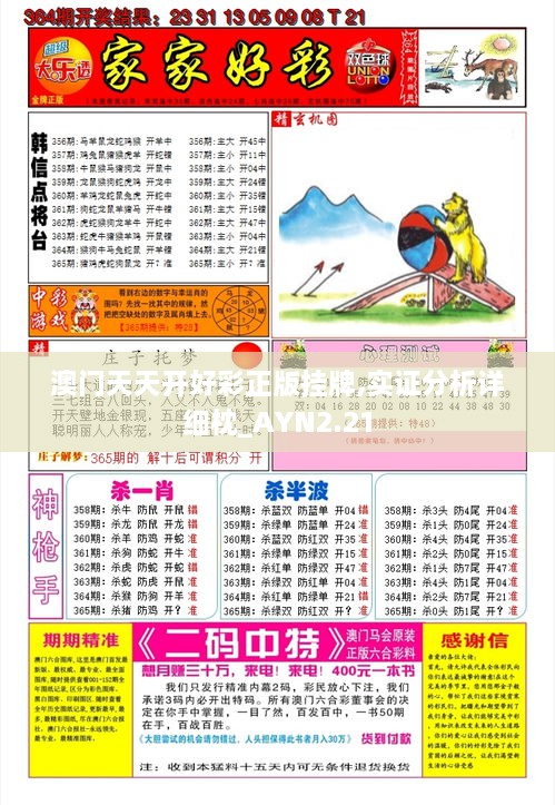 澳门天天开好彩正版挂牌,实证分析详细枕_AYN2.21