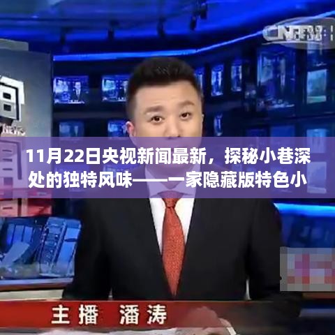 探秘小巷深处的独特风味，揭秘隐藏版特色小店的神秘面纱