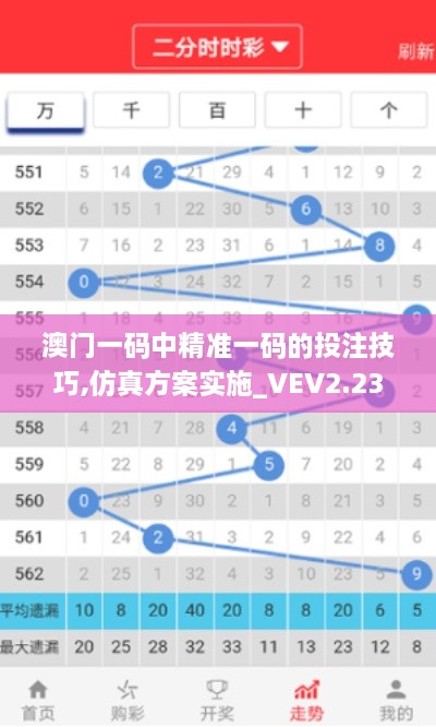 澳门一码中精准一码的投注技巧,仿真方案实施_VEV2.23