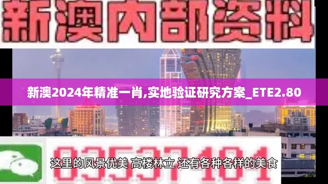 新澳2024年精准一肖,实地验证研究方案_ETE2.80