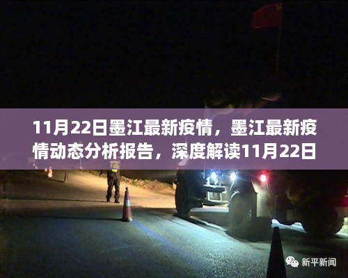 墨江最新疫情动态分析报告，11月22日数据概况、防控进展深度解读
