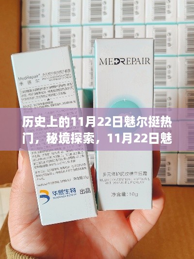 秘境探索，历史上的11月22日魅尔小巷中的隐藏瑰宝
