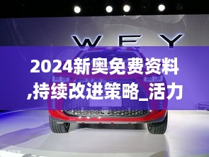 2024新奥免费资料,持续改进策略_活力版MZR2.99