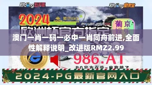 澳门一肖一码一必中一肖同舟前进,全面性解释说明_改进版RMZ2.99
