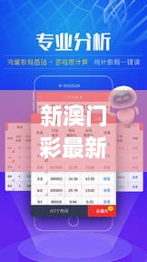 新澳门彩最新开奖记录28鼠,实地验证实施_专业版WYB2.87