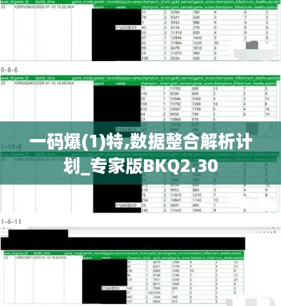 一码爆(1)特,数据整合解析计划_专家版BKQ2.30