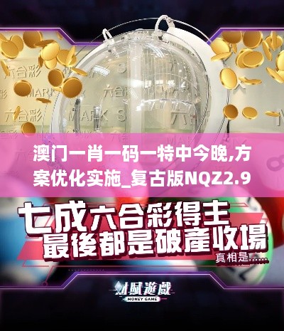 澳门一肖一码一特中今晚,方案优化实施_复古版NQZ2.95