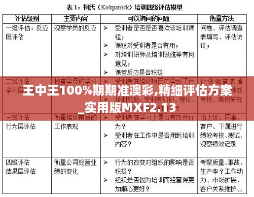 王中王100%期期准澳彩,精细评估方案_实用版MXF2.13
