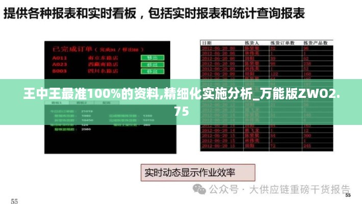 王中王最准100%的资料,精细化实施分析_万能版ZWO2.75