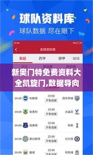 新奥门特免费资料大全凯旋门,数据导向计划_豪华款WMA2.30