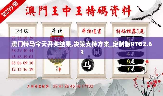 澳门特马今天开奖结果,决策支持方案_定制版RTG2.63
