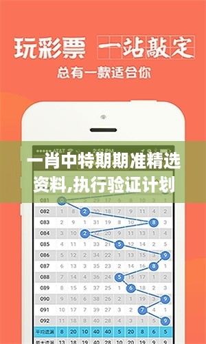 一肖中特期期准精选资料,执行验证计划_精致版ANF2.43
