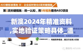 新澳2024年精准资料,实地验证策略具体_温馨版KWZ2.94