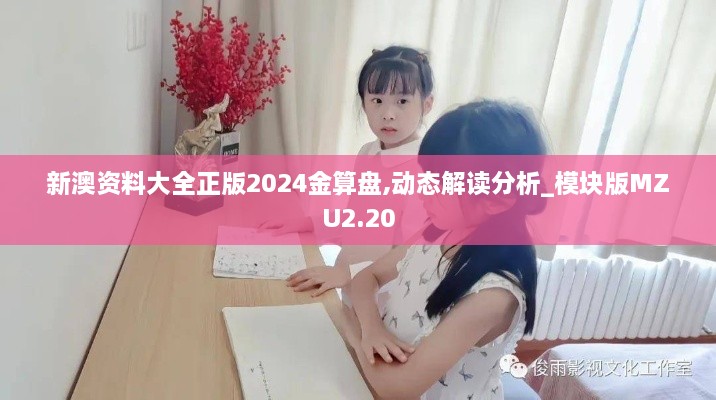 新澳资料大全正版2024金算盘,动态解读分析_模块版MZU2.20