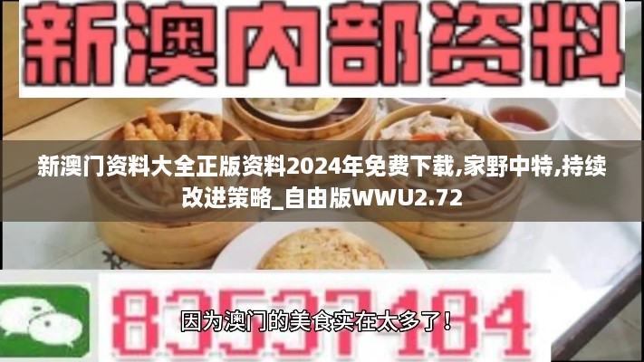 新澳门资料大全正版资料2024年免费下载,家野中特,持续改进策略_自由版WWU2.72