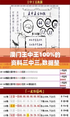 澳门王中王100%的资料三中三,数据整合决策_专业版GXB2.20
