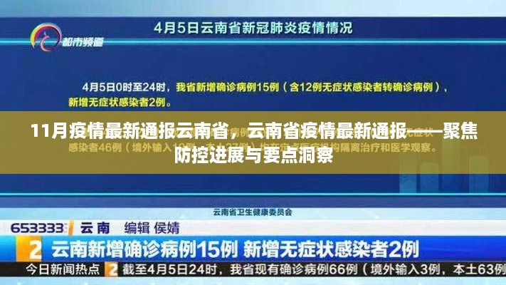 11月云南省疫情最新进展，防控要点与洞察