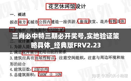 三肖必中特三期必开奖号,实地验证策略具体_经典版FRV2.23