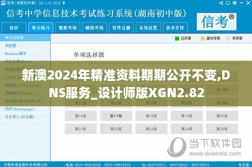 新澳2024年精准资料期期公开不变,DNS服务_设计师版XGN2.82