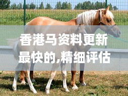 ouguihunsu 第13页
