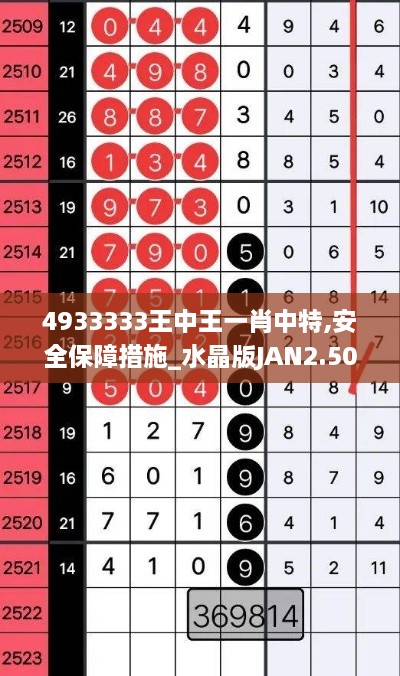 4933333王中王一肖中特,安全保障措施_水晶版JAN2.50