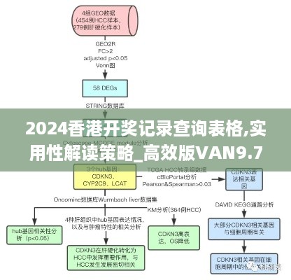 2024香港开奖记录查询表格,实用性解读策略_高效版VAN9.72