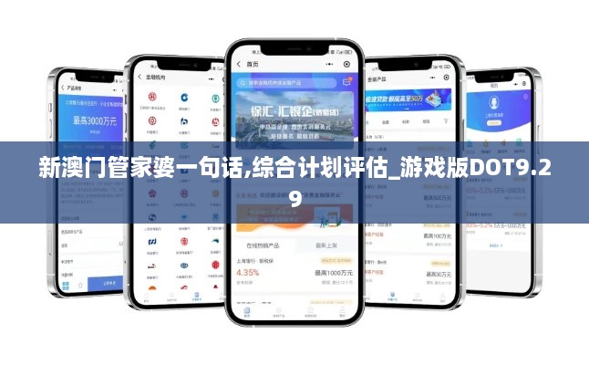 新澳门管家婆一句话,综合计划评估_游戏版DOT9.29