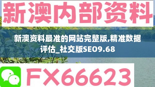 新澳资料最准的网站完整版,精准数据评估_社交版SEO9.68