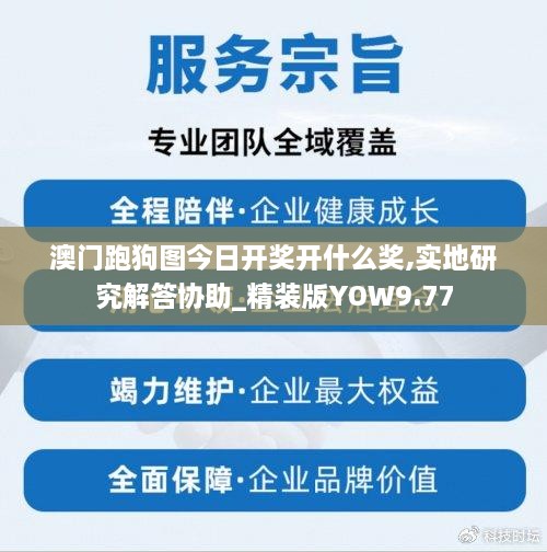 haozhengyixia 第13页