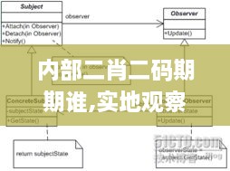 内部二肖二码期期谁,实地观察解释定义_远程版UGS9.72