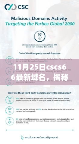 揭秘，最新cscs66域名解析与SEO优化策略全攻略（11月25日更新）