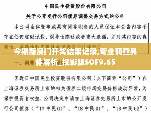 今期新澳门开奖结果记录,专业调查具体解析_投影版SOF9.65