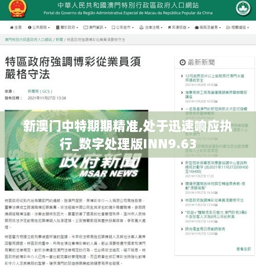 新澳门中特期期精准,处于迅速响应执行_数字处理版INN9.63