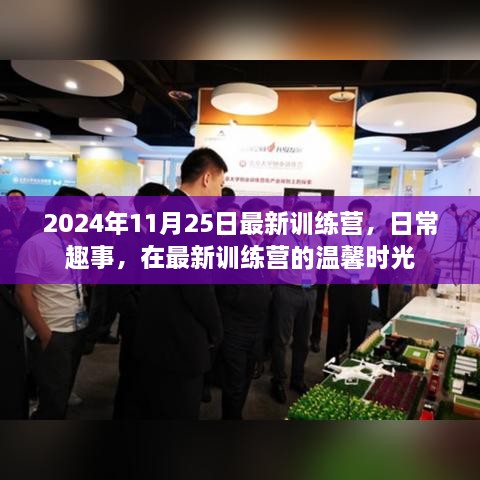 橘虞初梦 第17页
