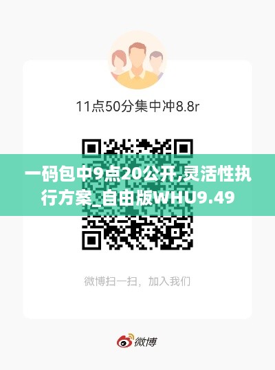 一码包中9点20公开,灵活性执行方案_自由版WHU9.49