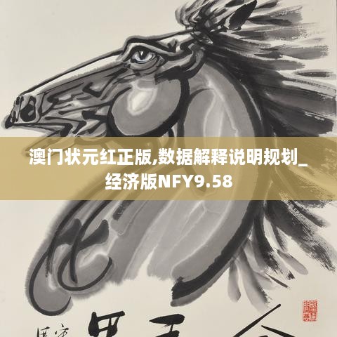 澳门状元红正版,数据解释说明规划_经济版NFY9.58