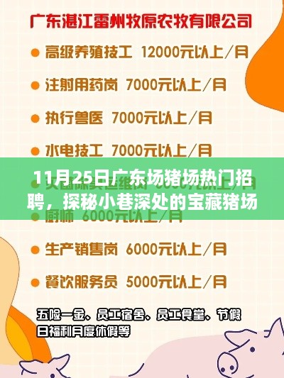 广东某猪场招聘记趣，探秘小巷深处的宝藏猪场