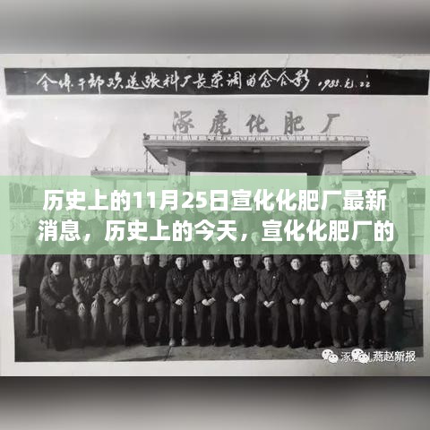 历史上的宣化化肥厂新篇章，探寻自然美景之旅启程之时与最新消息发布