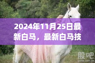 最新白马技能学习全攻略（入门到精通），白马技能学习指南（2024年最新版）