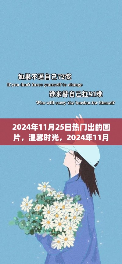 温馨时光，揭秘2024年11月25日热门图片故事