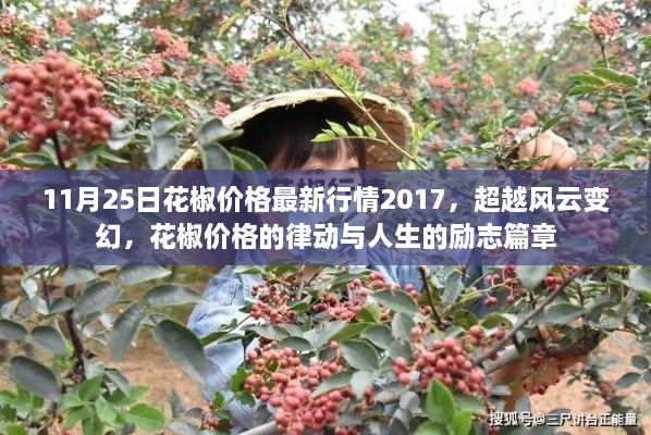 超越风云变幻，花椒价格的律动与人生励志篇章——2017年最新行情