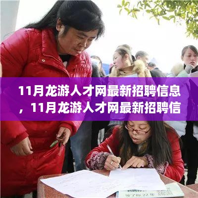 11月龙游人才网最新招聘信息全解析，职场必备参考