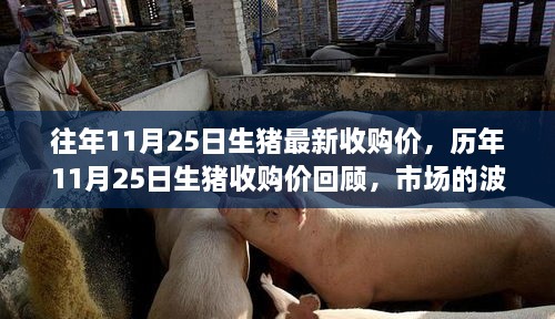 神采奕奕 第17页