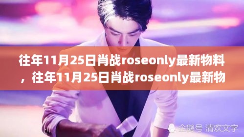 肖战Roseonly最新物料揭秘，全面评测与介绍，往年11月25日独家呈现