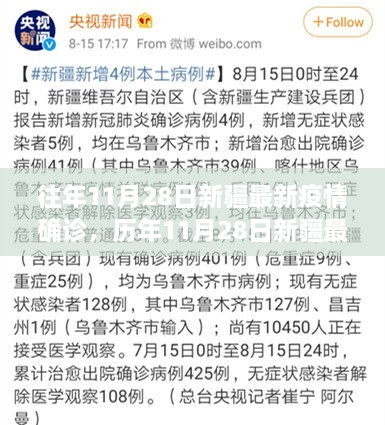 历年11月28日新疆疫情确诊深度解析与评测报告